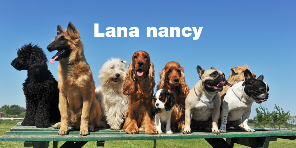 Lana nancy